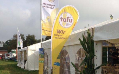 Kreistierschau Vennermoor 2014 (10)