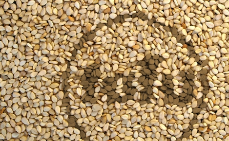 Körner mit Tafu-Logo